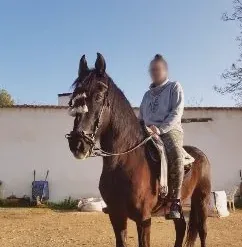 Romy, 31